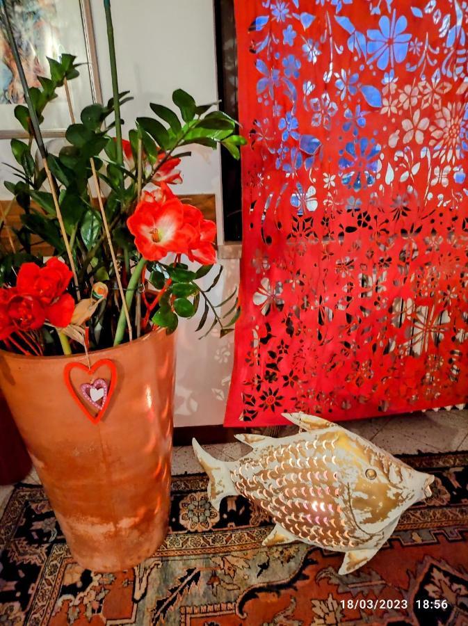 Casapatrizia B&B Σιρμιόνε Εξωτερικό φωτογραφία