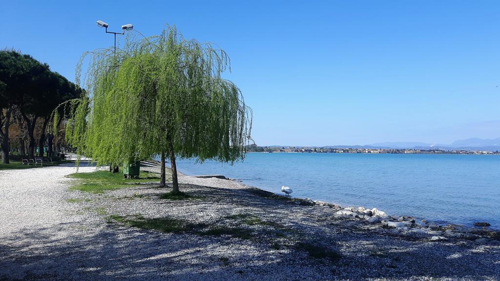 Casapatrizia B&B Σιρμιόνε Εξωτερικό φωτογραφία